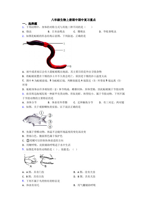 八年级生物上册期中期中复习重点