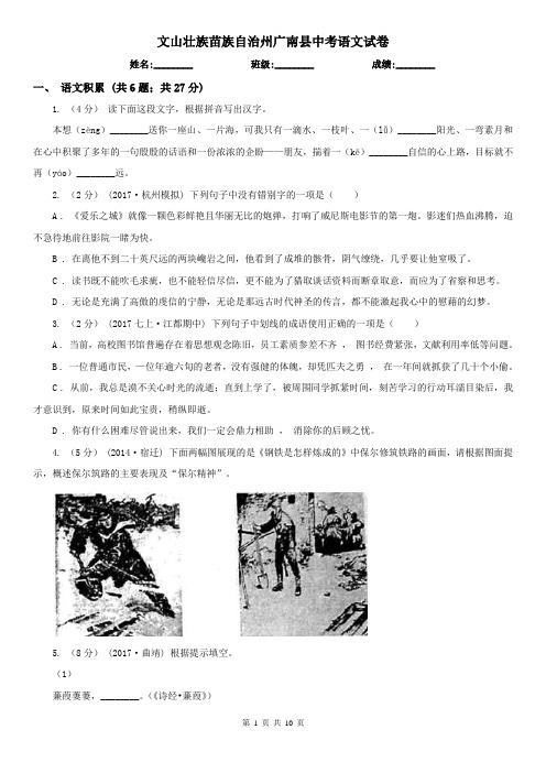 文山壮族苗族自治州广南县中考语文试卷