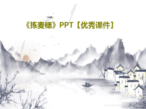 《拣麦穗》PPT【优秀课件】共22页文档