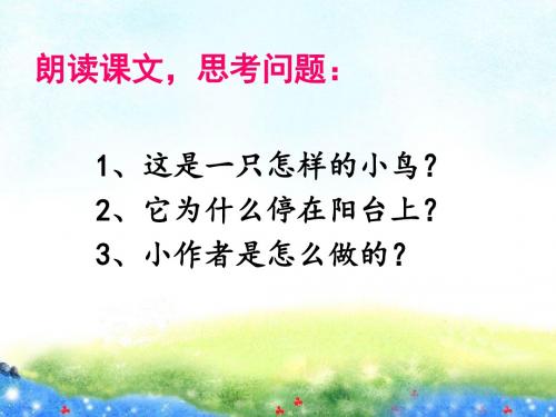 《阳台上的小鸟》课文解析-优质公开课-语文S版一下精品