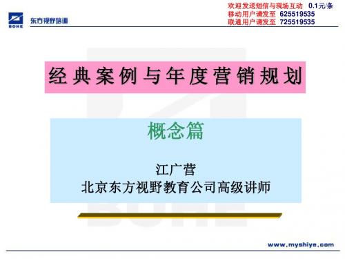 经典案例与年度营销规划-
