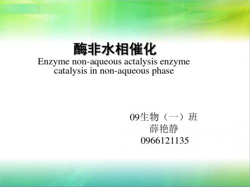 酶非水相催化