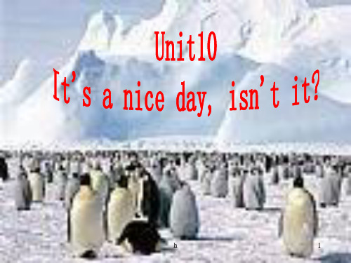 八年级英语It’s a nice day,isn’t it？课件(1)
