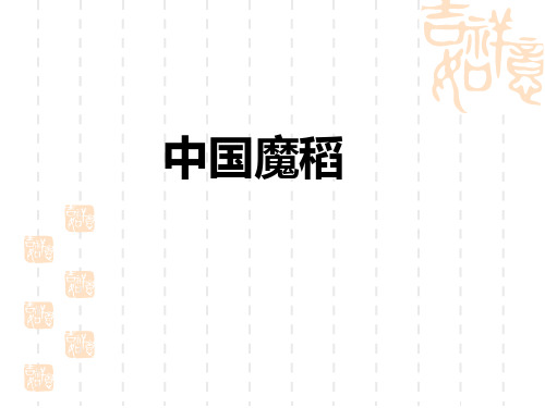 小学语文教科版五年级下册(第10册)《中国魔稻》教学课件