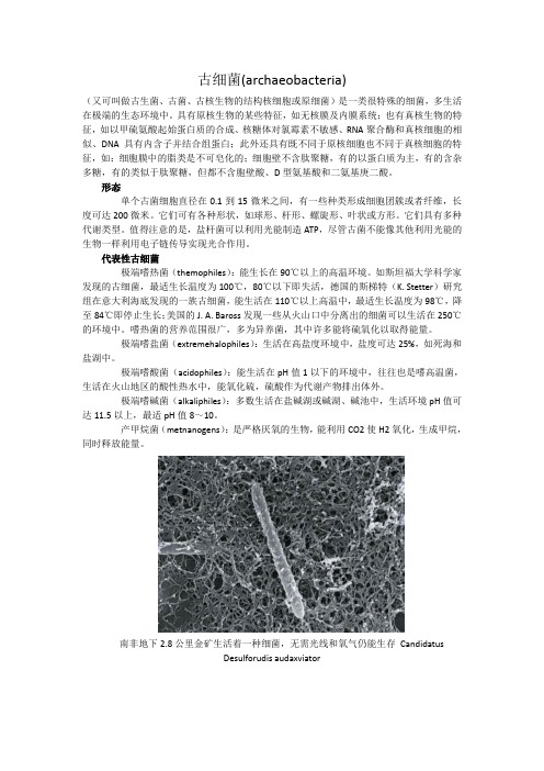 古生菌简介及图片