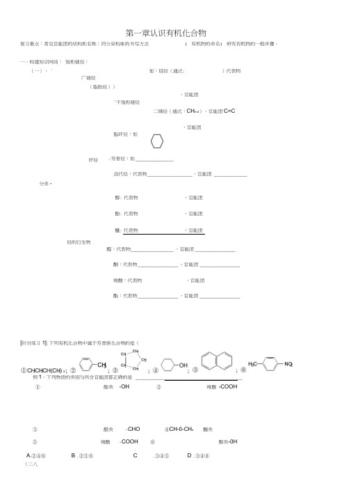 选修5有机化学---第一章复习题