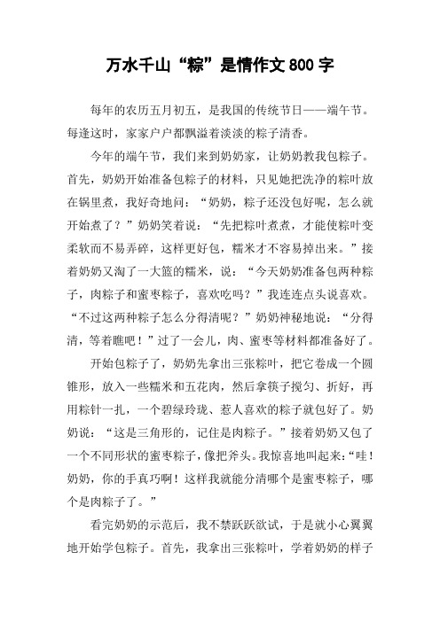 万水千山“粽”是情作文800字