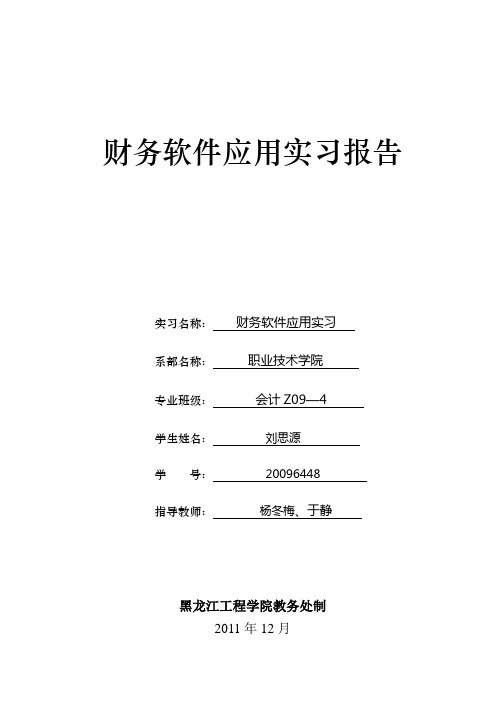 财务软件实习报告-刘思源