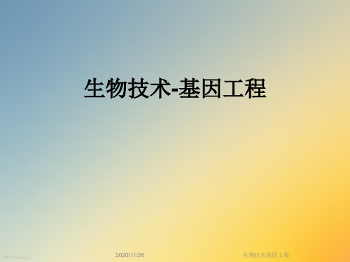 生物技术基因工程