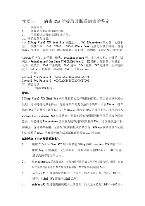 病毒RNA的提取及肠道病毒的鉴定