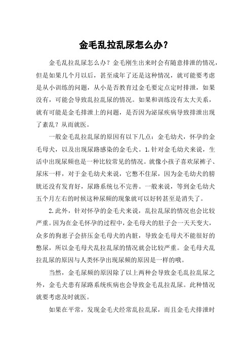 金毛乱拉乱尿怎么办？