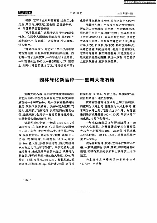 园林绿化新品种—重瓣大花石榴