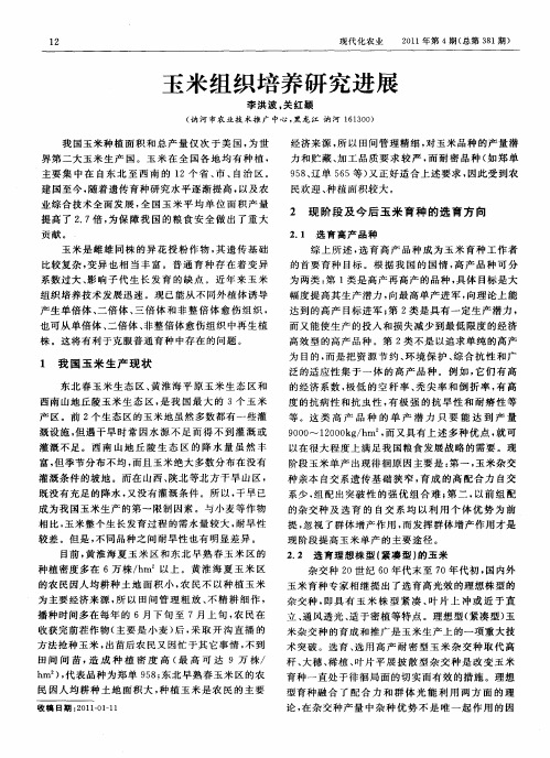 玉米组织培养研究进展