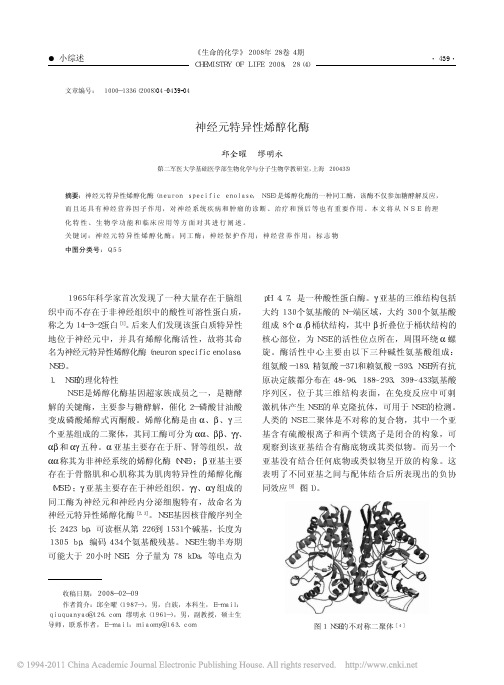 神经元特异性烯醇化酶