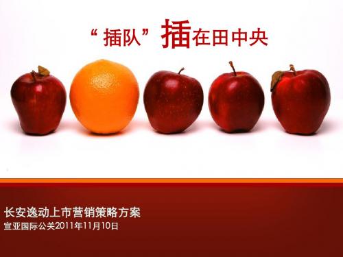 长安逸动上市营销策略方案