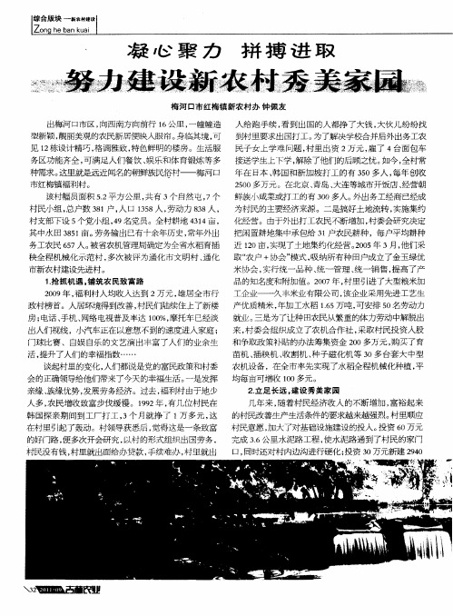 凝心聚力 拼搏进取 努力建设新农村秀美家园