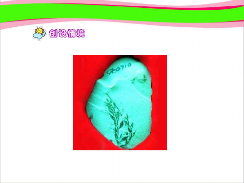 最大的书  公开课一等奖课件