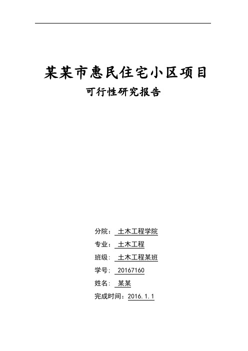 可行性研究报告