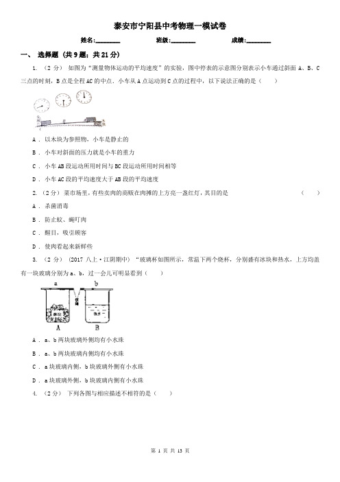 泰安市宁阳县中考物理一模试卷  