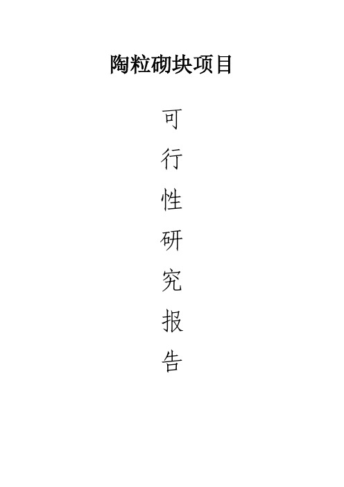 陶粒砌块项目可行性研究报告