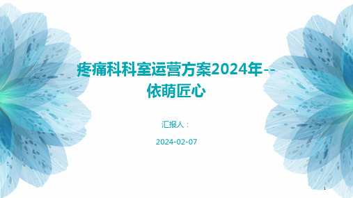 疼痛科科室运营方案2024年--依萌匠心