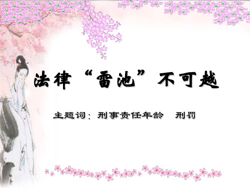 法律 雷池 不可越.ppt