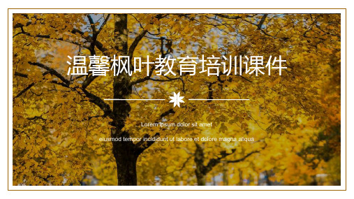 温馨枫叶教育培训课件ppt模板