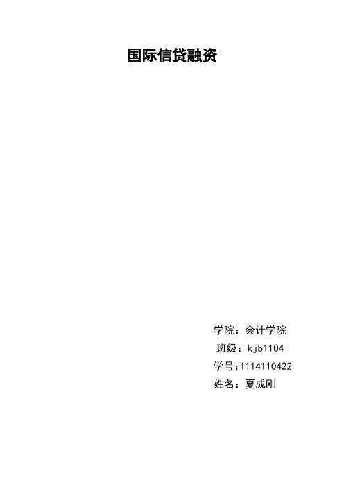 国际信贷融资