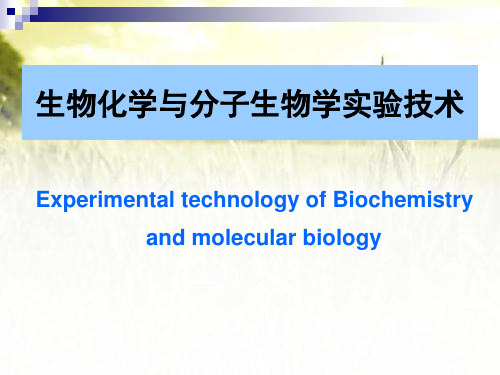 生物化学与分子生物学实验技术 PPT