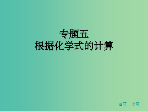 中考化学专题复习五 根据化学式的计算 新人教版