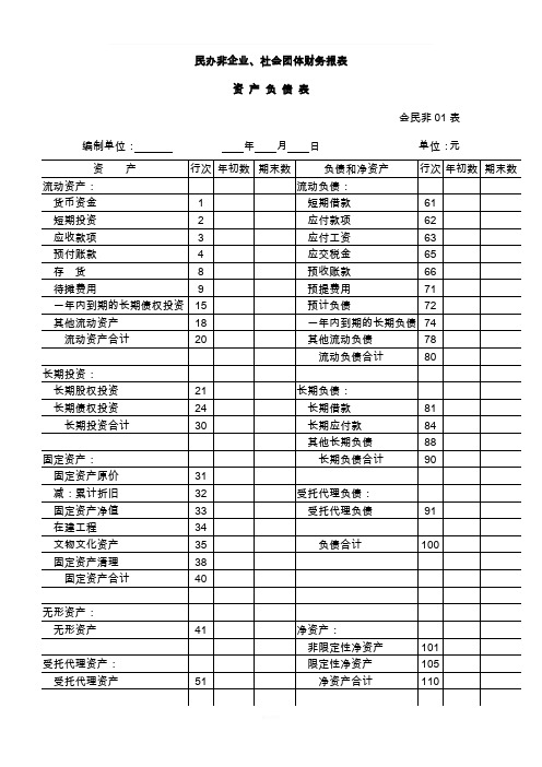 社会团体财务报表