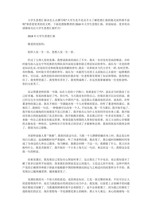 2019年大学生思想汇报【4篇】.pdf