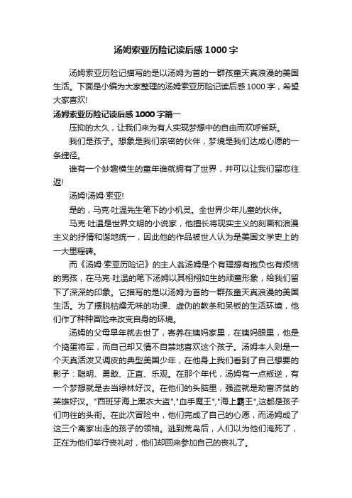 汤姆索亚历险记读后感1000字