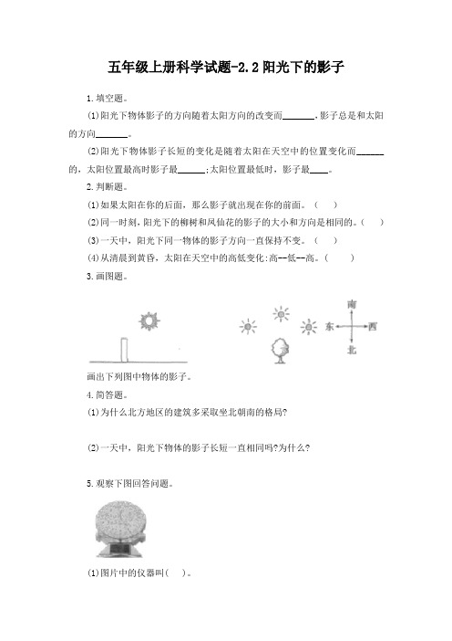 五年级上册科学试题-2、2阳光下的影子 教科版 含答案