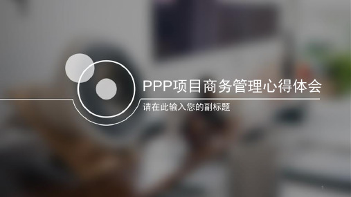 PPP项目商务管理