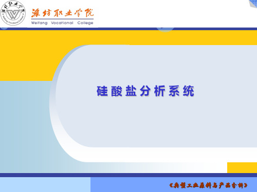 【实用】硅酸盐分析系统PPT文档