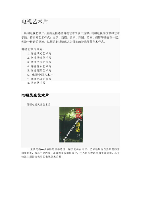 电视艺术片