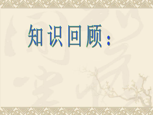 高中物理课件专题：临界问题