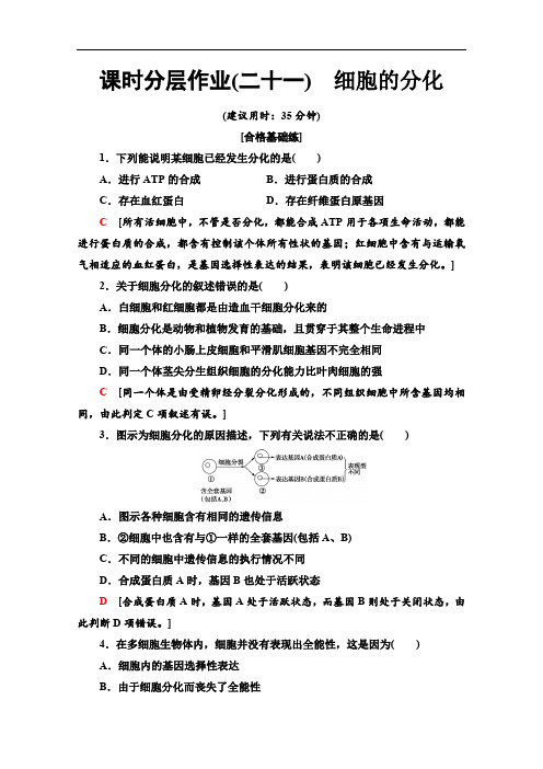 2019-2020同步新教材人教生物必修一新突破课时分层作业：21 细胞的分化 Word版含解析