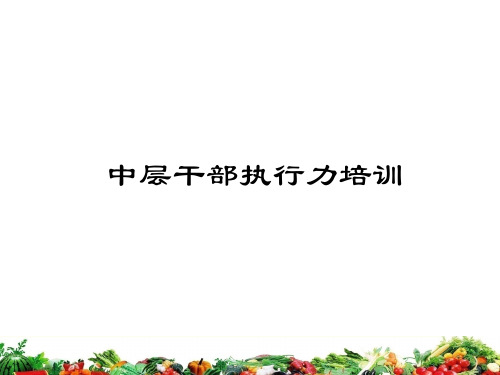 中层干部执行力培训课程