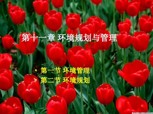 第十一章环境规划与管理-PowerPointPrese