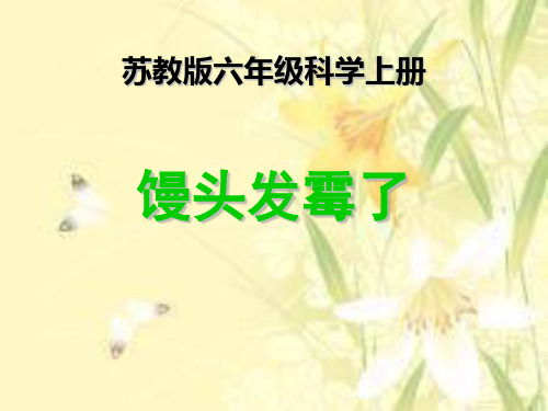 六年级科学上册《馒头发霉了》课件