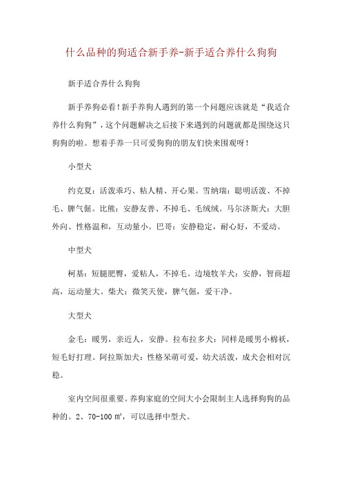 什么品种的狗适合新手养-新手适合养什么狗狗