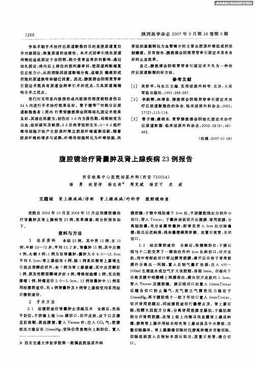腹腔镜治疗肾囊肿及肾上腺疾病23例报告
