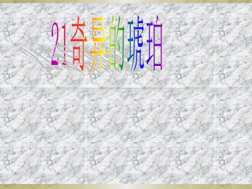 《奇异的琥珀》课件