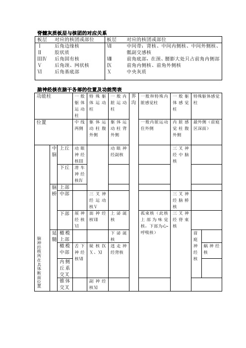 脊髓灰质板层与核团的对应关系