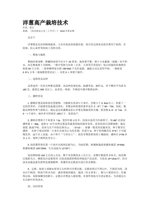洋葱高产栽培技术