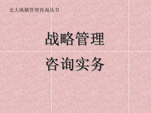 战略管理咨询实务(ppt 393) 