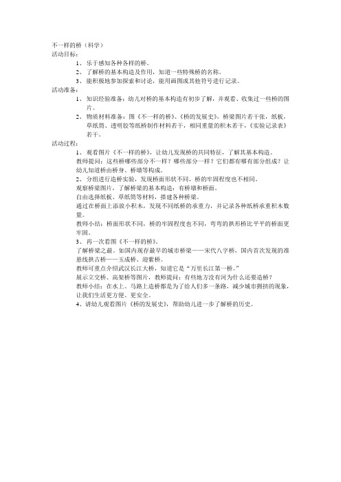 不一样的桥