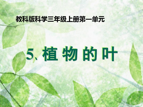 三年级上册科学课件-1.5植物的叶 教科版(共18张PPT)